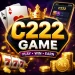 C222 Game
